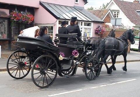 A bride in a dark carriage drawn by a pair of dark horses