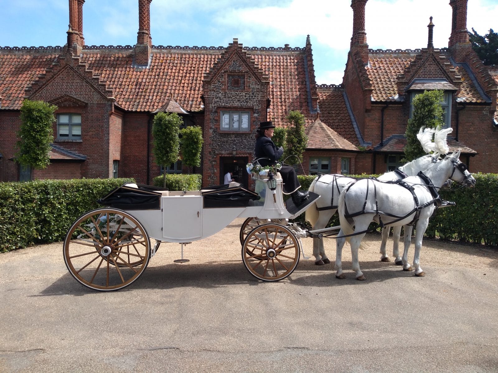 A cream carriage drawn by a pair of grey horses outside a brick house