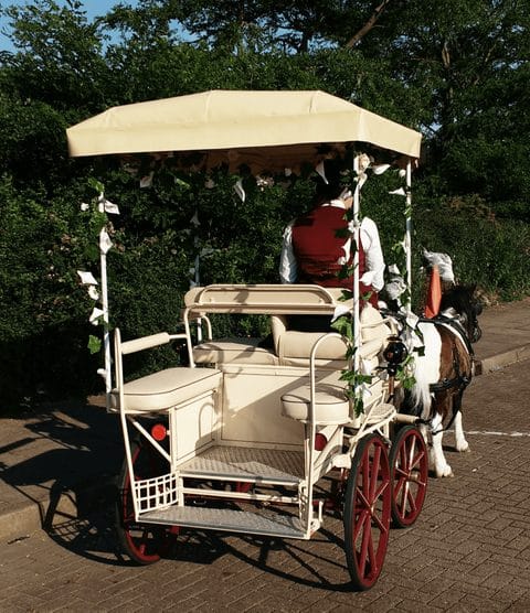 A cream carriage with a fringed canopy