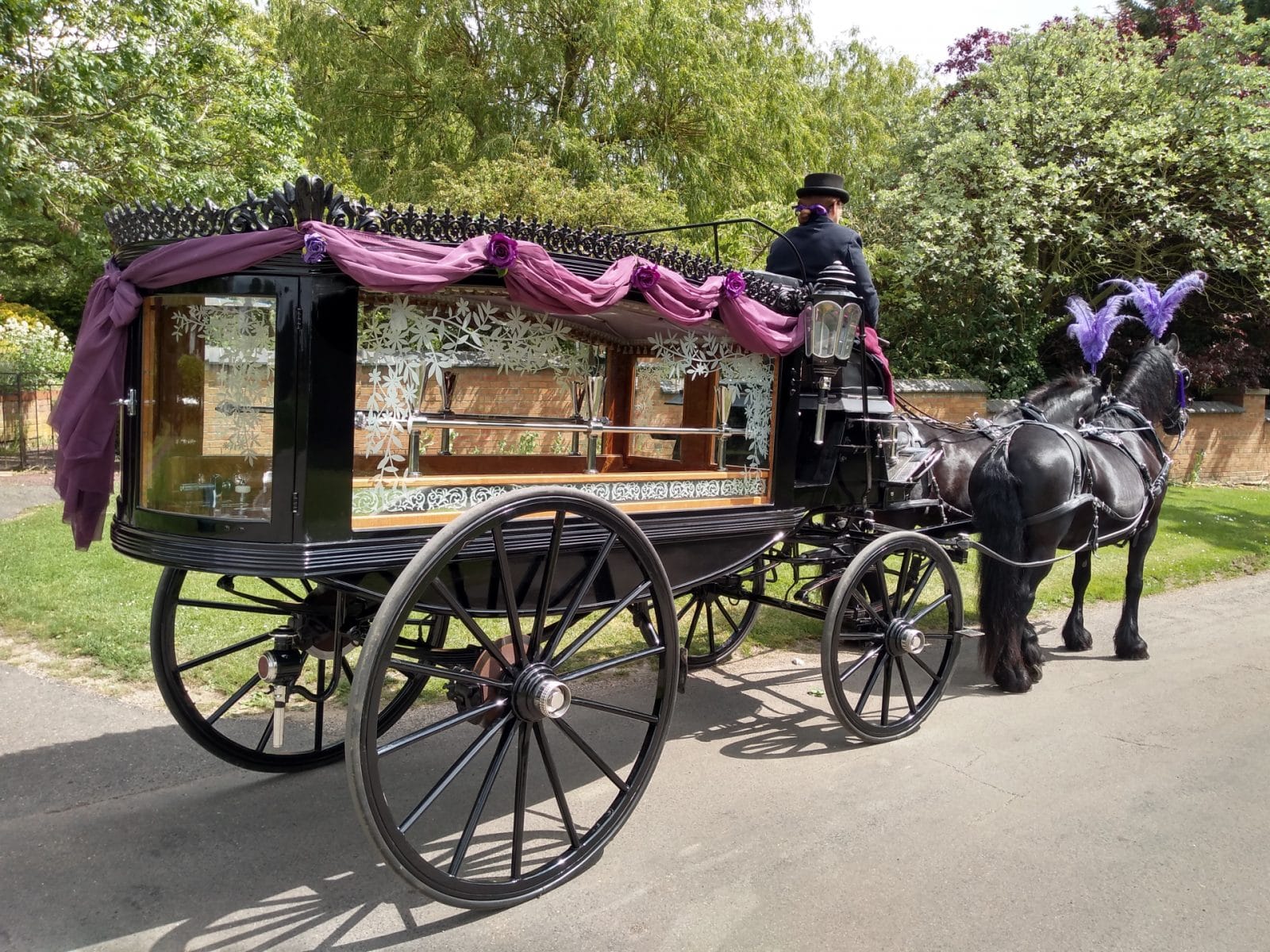 A glass-sided funeral hearse drawn by a dark horse