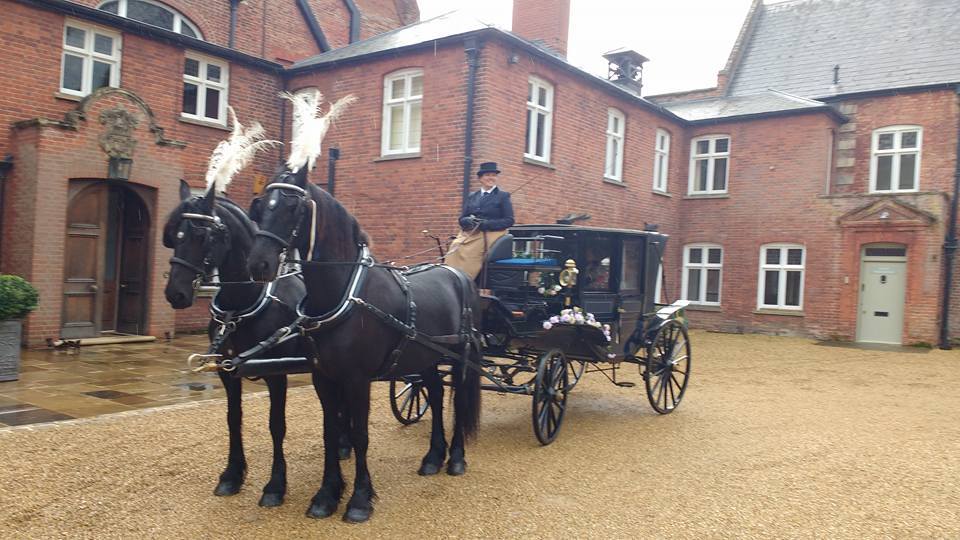 A pair of black horses with plumes drawing a dark carriage