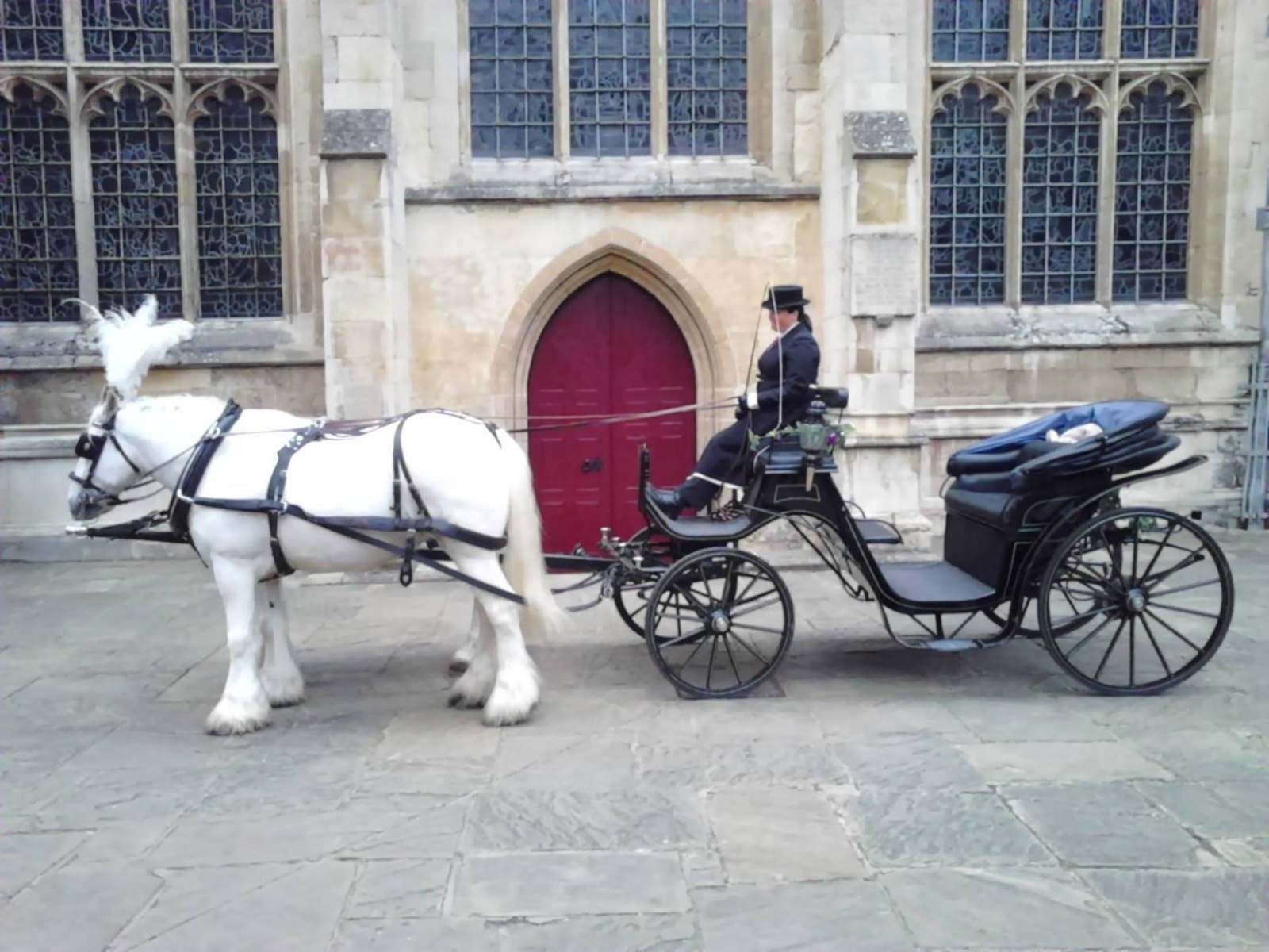 A pair of grey horses and a dark carriage outside a church