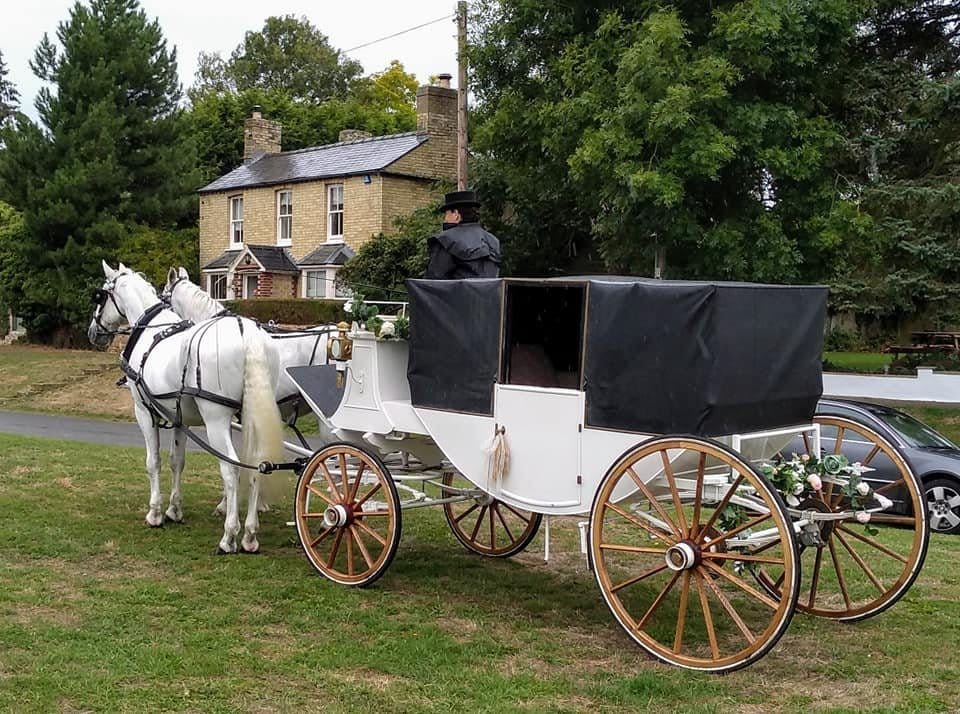 A white carriage with a black canopy drawn by a pair of grey horses
