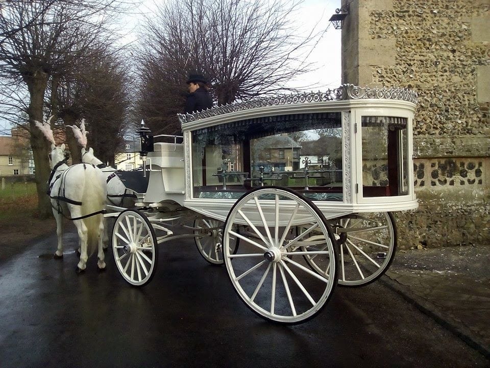 A white glass-sided hearse drawn by a pair of grey horses