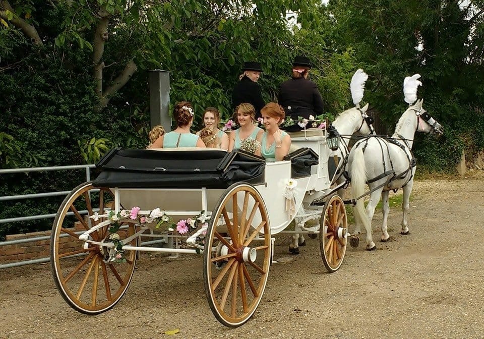 Bridesmaids riding in a white carriage drawn by a pair of grey horses